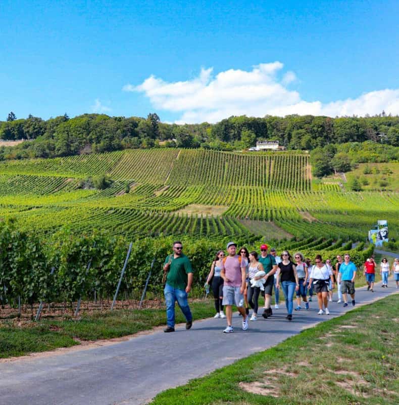 Rüdesheim Weinwanderung mit Weinbergen Seilbahnfahrt und Weinprobe