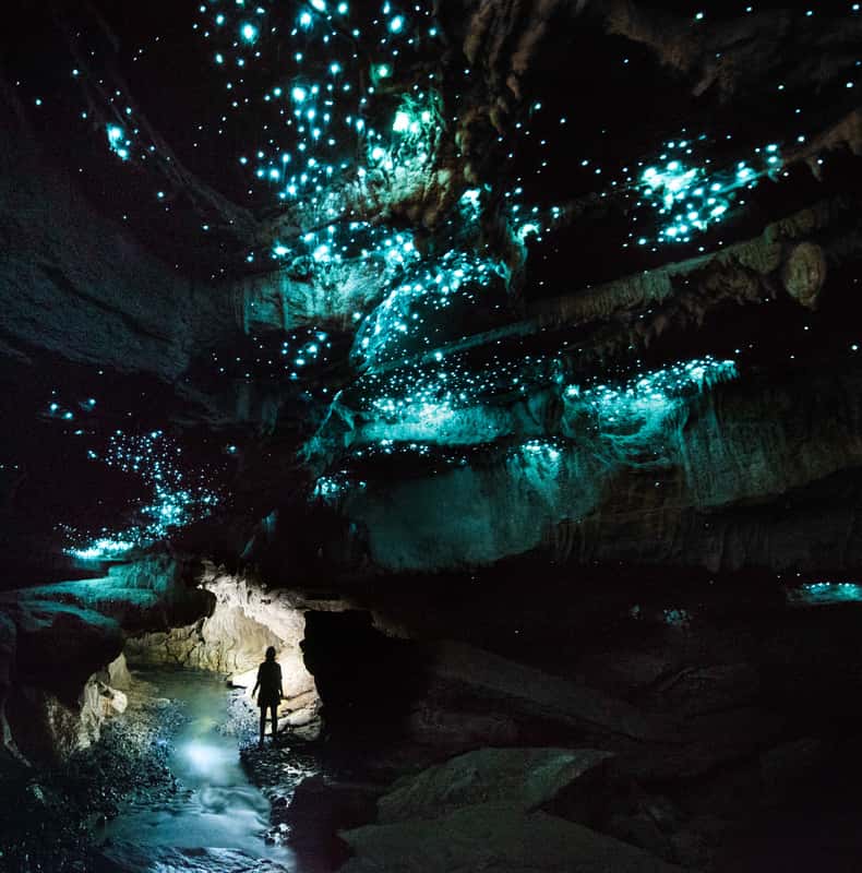 Off the Beaten Track – Waitomo Glowworm Cave Tour