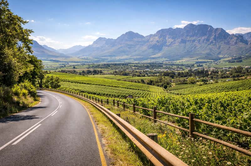 Stellenbosch — Vineyard Tour