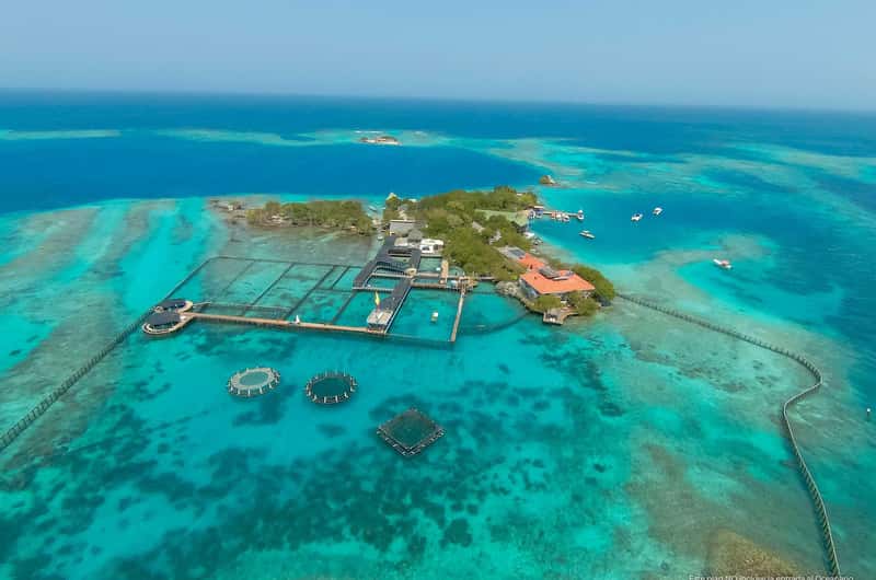 Oceanario de las Islas del Rosario
