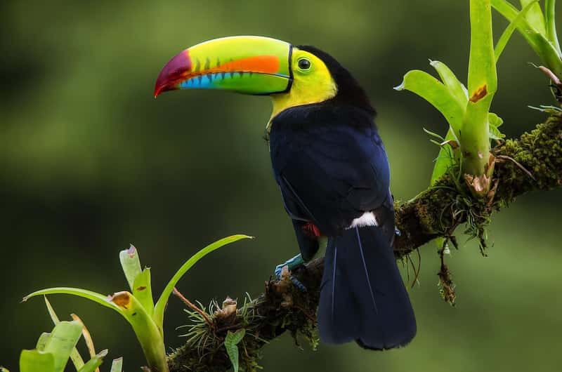 Monteverde tour experience