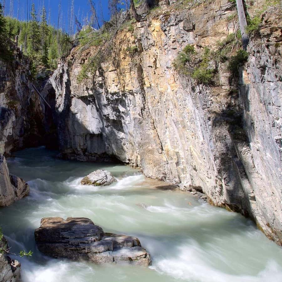 Calgary: Radium Hot Springs & Marble Canyon Day Trip