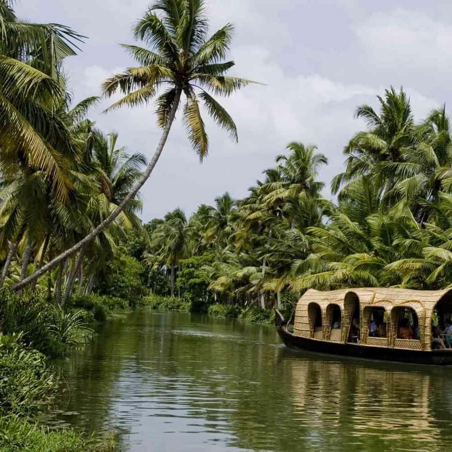 https://cdn.getyourguide.com/image/format%3Dauto%2Cfit%3Dcrop%2Cgravity%3Dauto%2Cquality%3D60%2Cwidth%3D450%2Cheight%3D450%2Cdpr%3D2/tour_img/4e1794a43e1571e70f11540c6689592aa437a03e1c50bfe9f008b5c8b44a5544.jpg