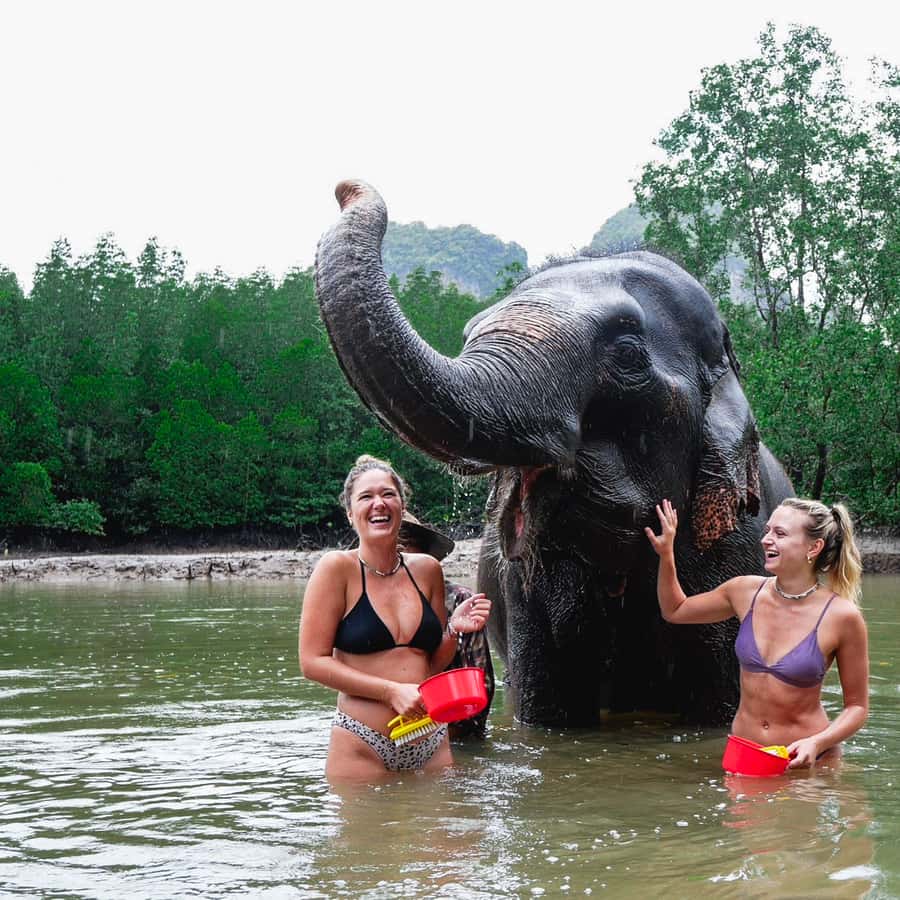 https://cdn.getyourguide.com/image/format%3Dauto%2Cfit%3Dcrop%2Cgravity%3Dauto%2Cquality%3D60%2Cwidth%3D450%2Cheight%3D450%2Cdpr%3D2/tour_img/a78e3b733abfa632.jpeg?utm_source=chatgpt.com