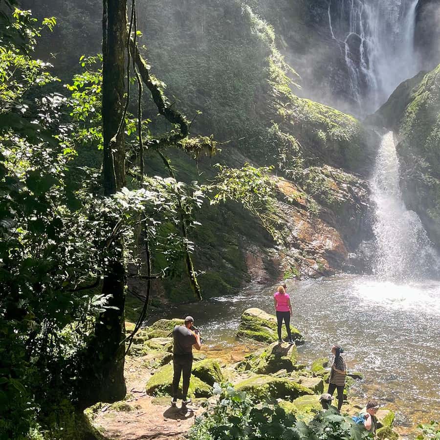 https://cdn.getyourguide.com/image/format%3Dauto%2Cfit%3Dcrop%2Cgravity%3Dauto%2Cquality%3D60%2Cwidth%3D450%2Cheight%3D450%2Cdpr%3D2/tour_img/c49a957ba9b681251eca74ee2cf3c18c2c638f7b49ffb25a568971c67232c37f.jpg