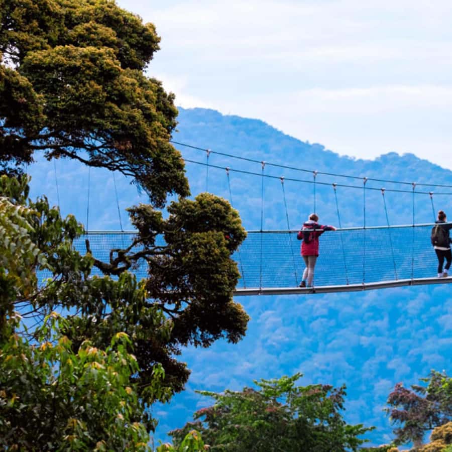 https://cdn.getyourguide.com/image/format%3Dauto%2Cfit%3Dcrop%2Cgravity%3Dauto%2Cquality%3D60%2Cwidth%3D450%2Cheight%3D450%2Cdpr%3D2/tour_img/e2cef3beb2b7c6bca346009e18727cd5b27d5f12a3b2ad85bc33e4668f6c53df.jpg