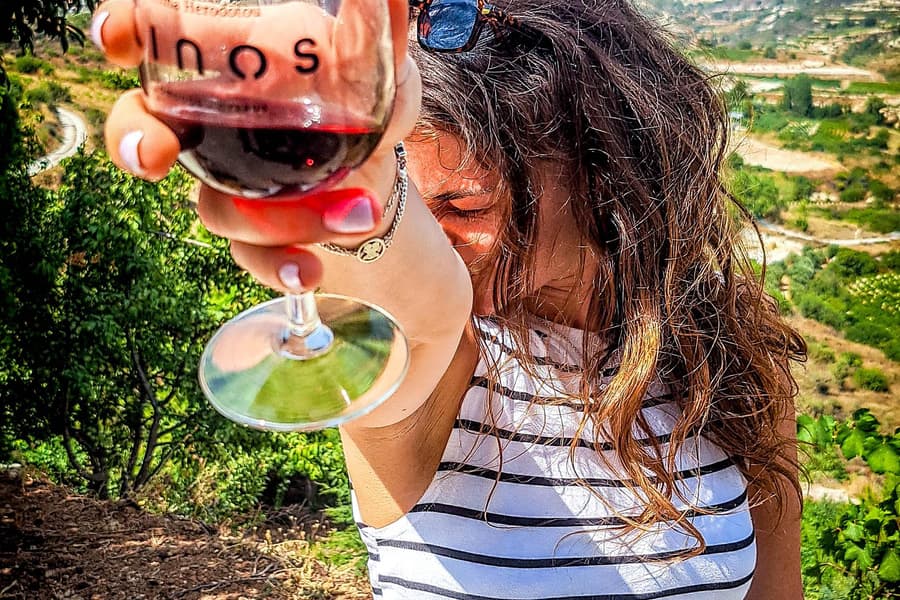 Paphos wine tour, maximum 7 guests