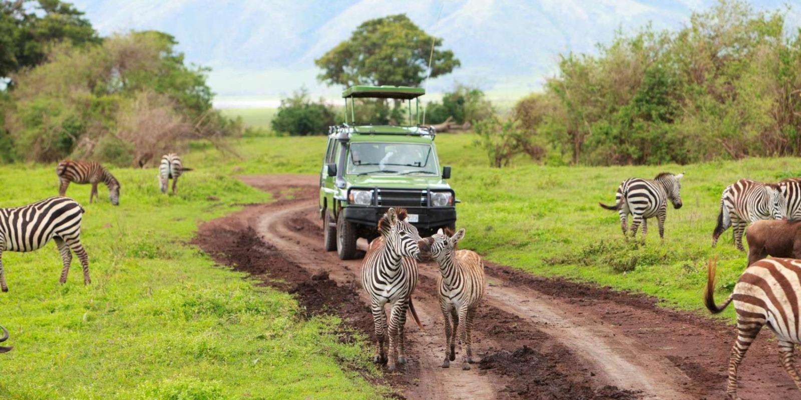 Uganda self-drive safari vehicle Safari vehicle driving on a wildlife track in Lake Mburo National Park Uganda