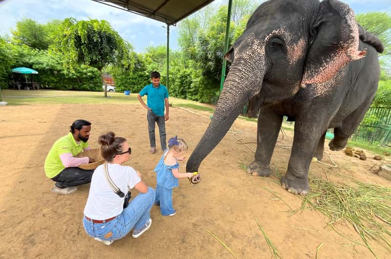 Children enjoying an elephant experience in Jaipur