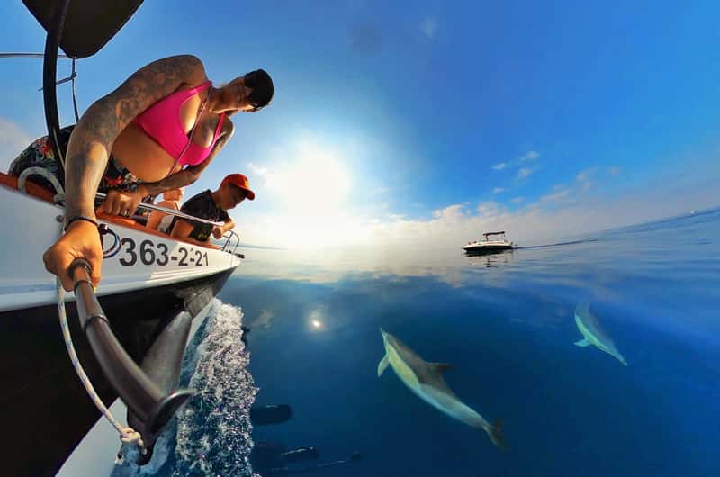 Dolphin Watching Marbella