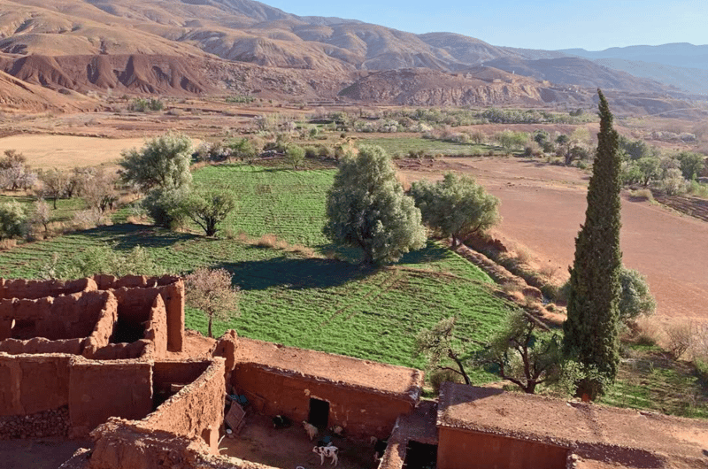 TOUR 4 GIORNI – ATLANTE SEGRETO & VITA BERBERA AUTENTICA