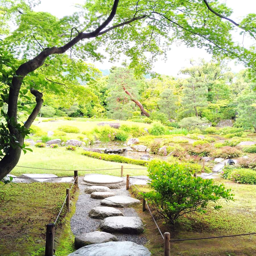 https://cdn.getyourguide.com/image/format%3Dauto%2Cfit%3Dcrop%2Cgravity%3Dcenter%2Cquality%3D60%2Cwidth%3D450%2Cheight%3D450%2Cdpr%3D2/tour_img/591ae6aa4cca0ee34757ce543d61ccb2faea731283b7e1389e2948a515b456c8.jpg