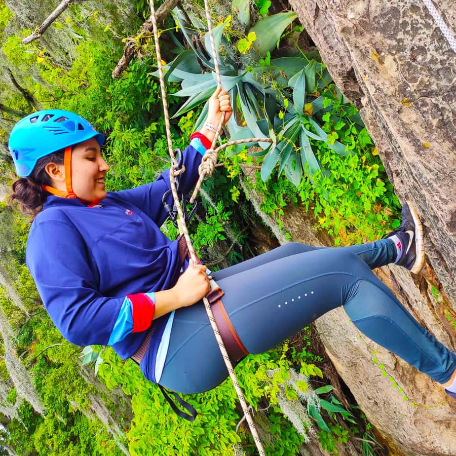 Cauce entre rocas y bosque