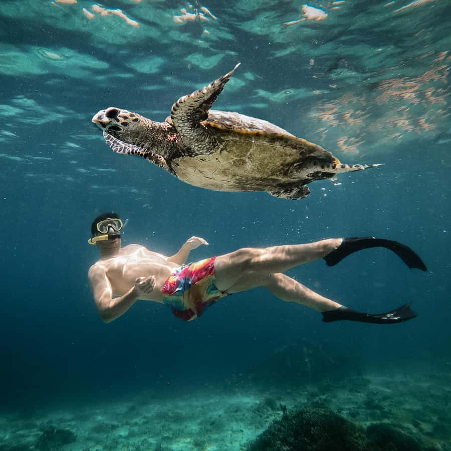 https://cdn.getyourguide.com/image/format%3Dauto%2Cfit%3Dcrop%2Cgravity%3Dcenter%2Cquality%3D60%2Cwidth%3D450%2Cheight%3D450%2Cdpr%3D2/tour_img/c51af01dda9bfb703fcfd4e557313174b5df30953a3e359d01941d3da09210d8.jpg