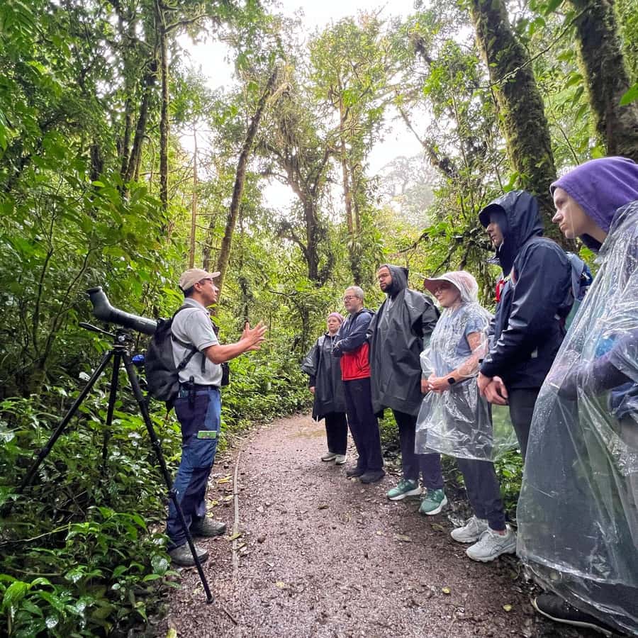 Monteverde tour experience