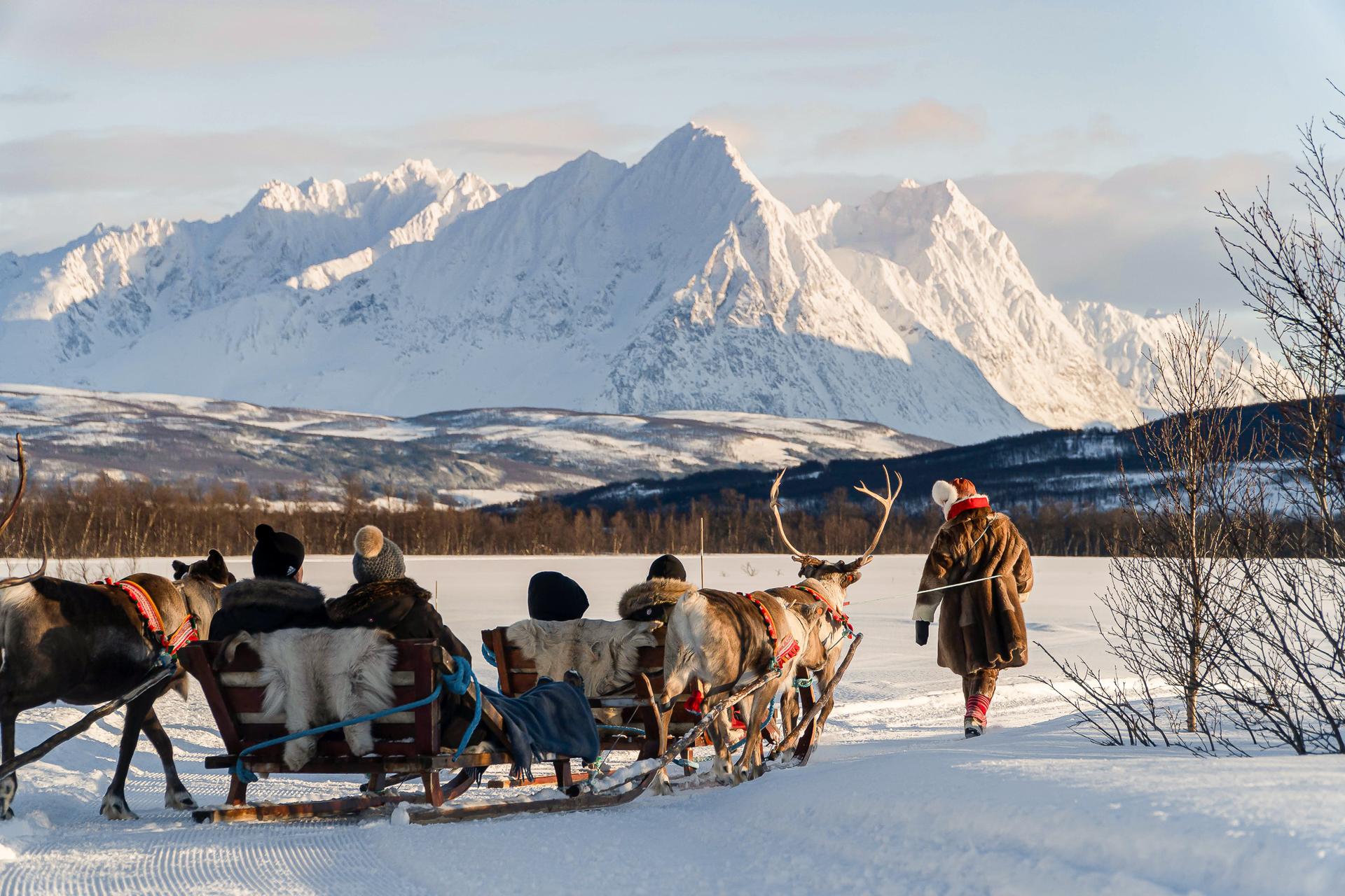 GetYourGuide listing photograph 1: Reindeer Sledding and Sámi Cultural Tour with Lunch with Tromsø Lapland