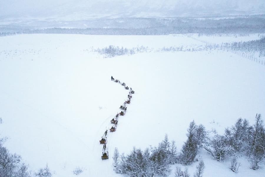 GetYourGuide listing photograph 4: Reindeer Sledding and Sámi Cultural Tour with Lunch with Tromsø Lapland