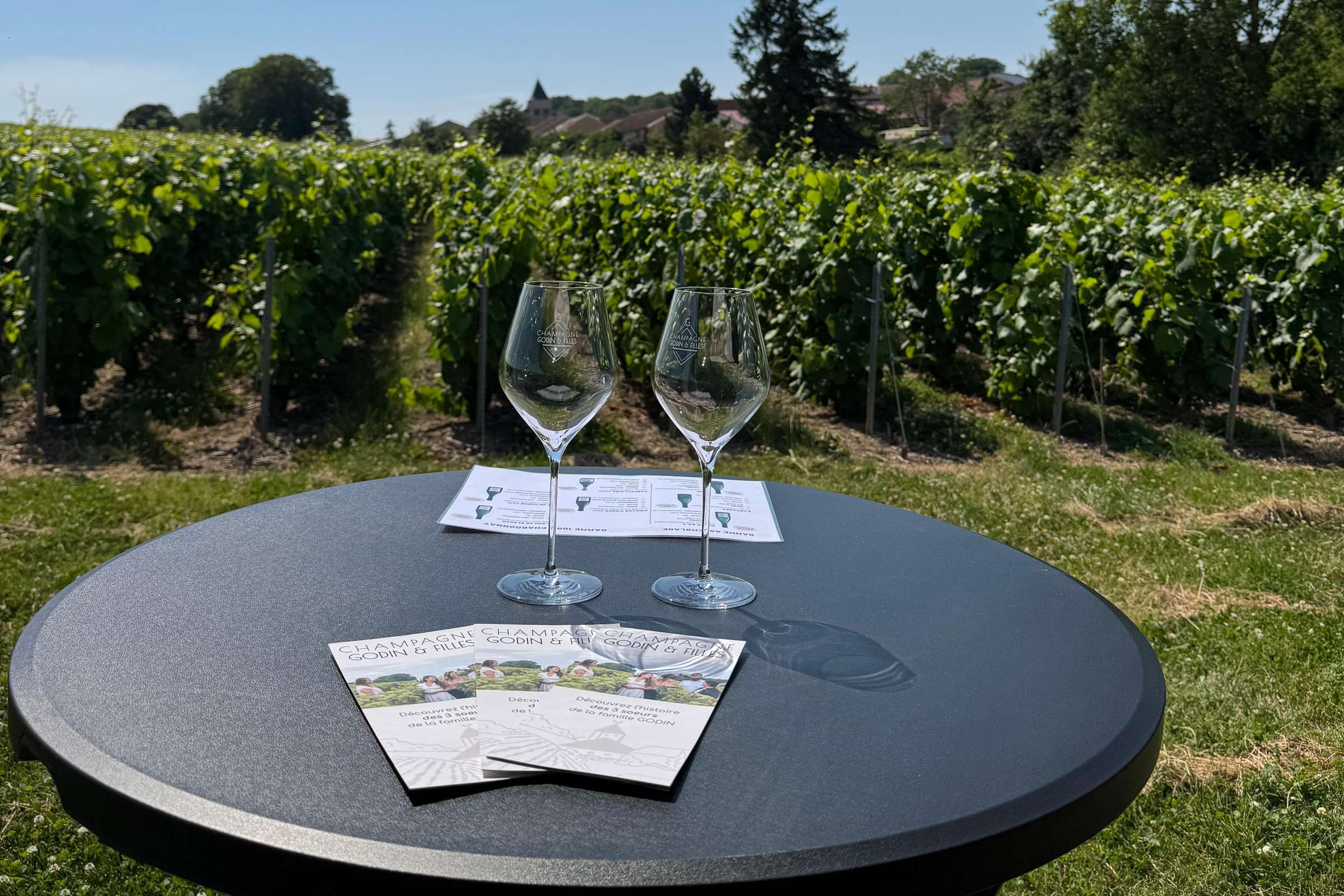 Reims : Visite de Vignoble et Dégustation de Champagne