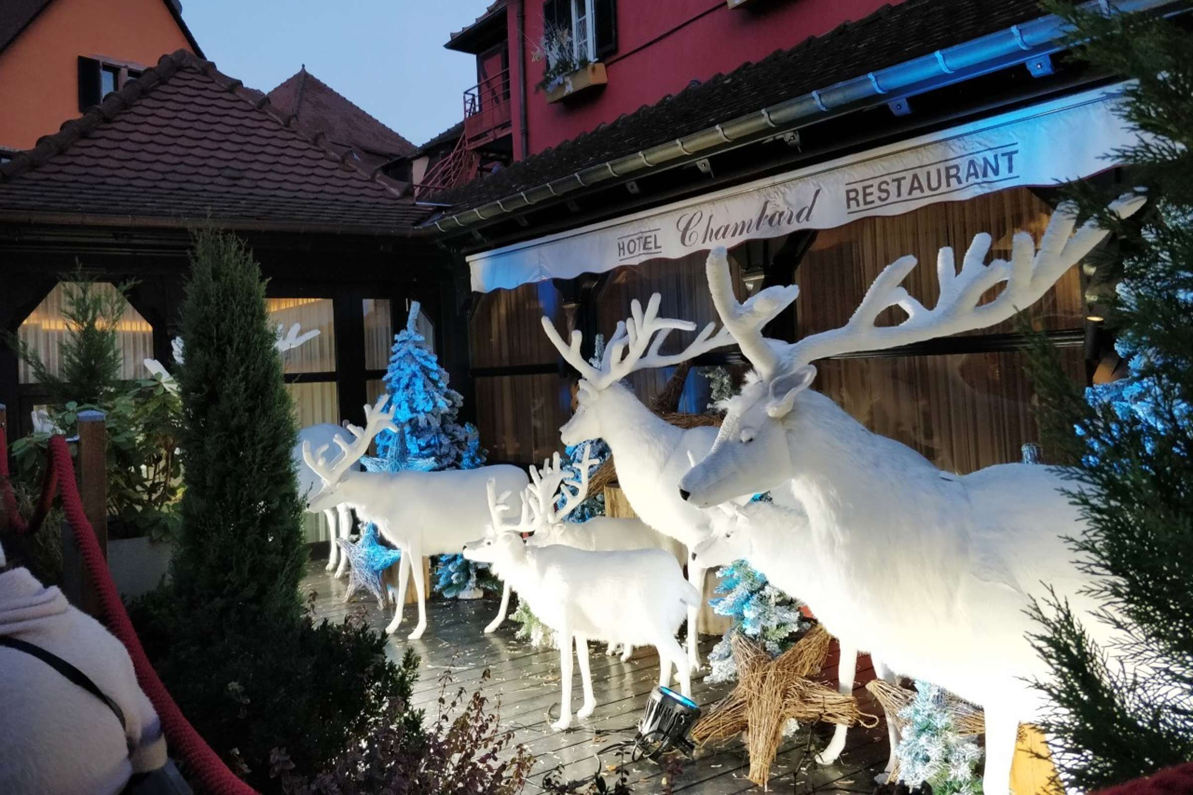Depuis Colmar : les marchés de Noël à travers les trois frontières