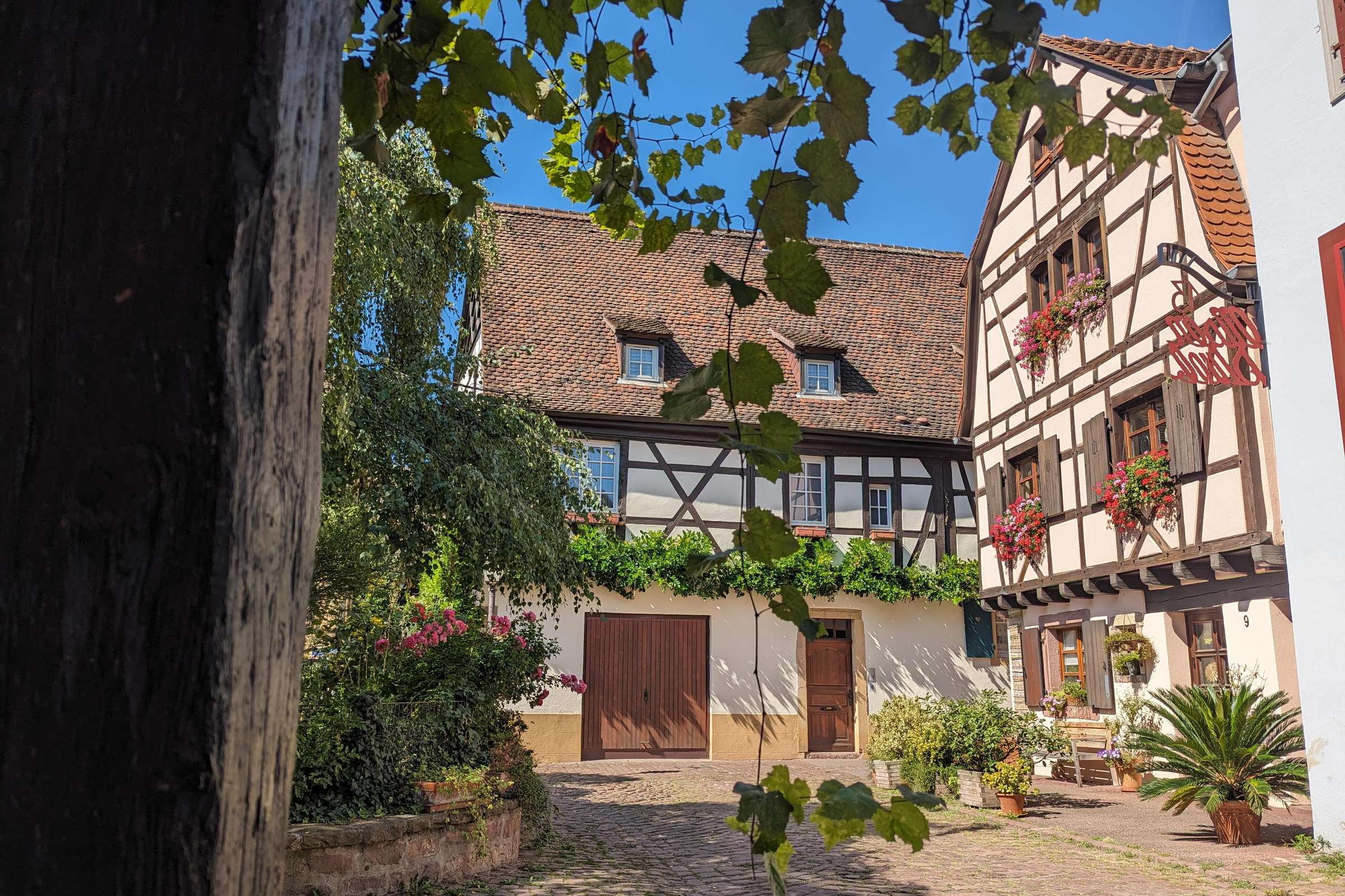 Colmar : visite guidée insolite avec un guide régionaliste