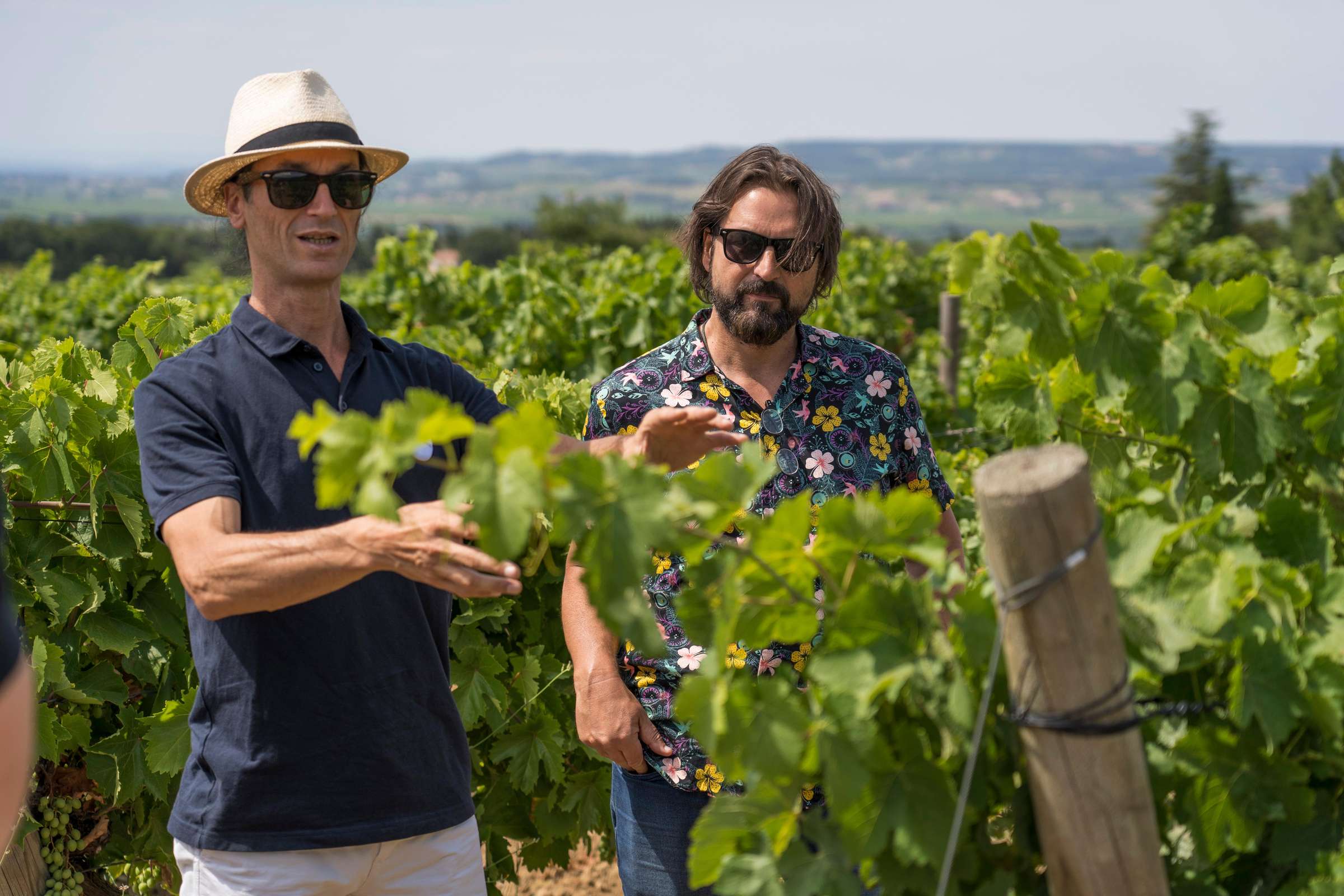 Au départ d'Avignon : visite d'une demi-journée à Châteauneuf du Pape