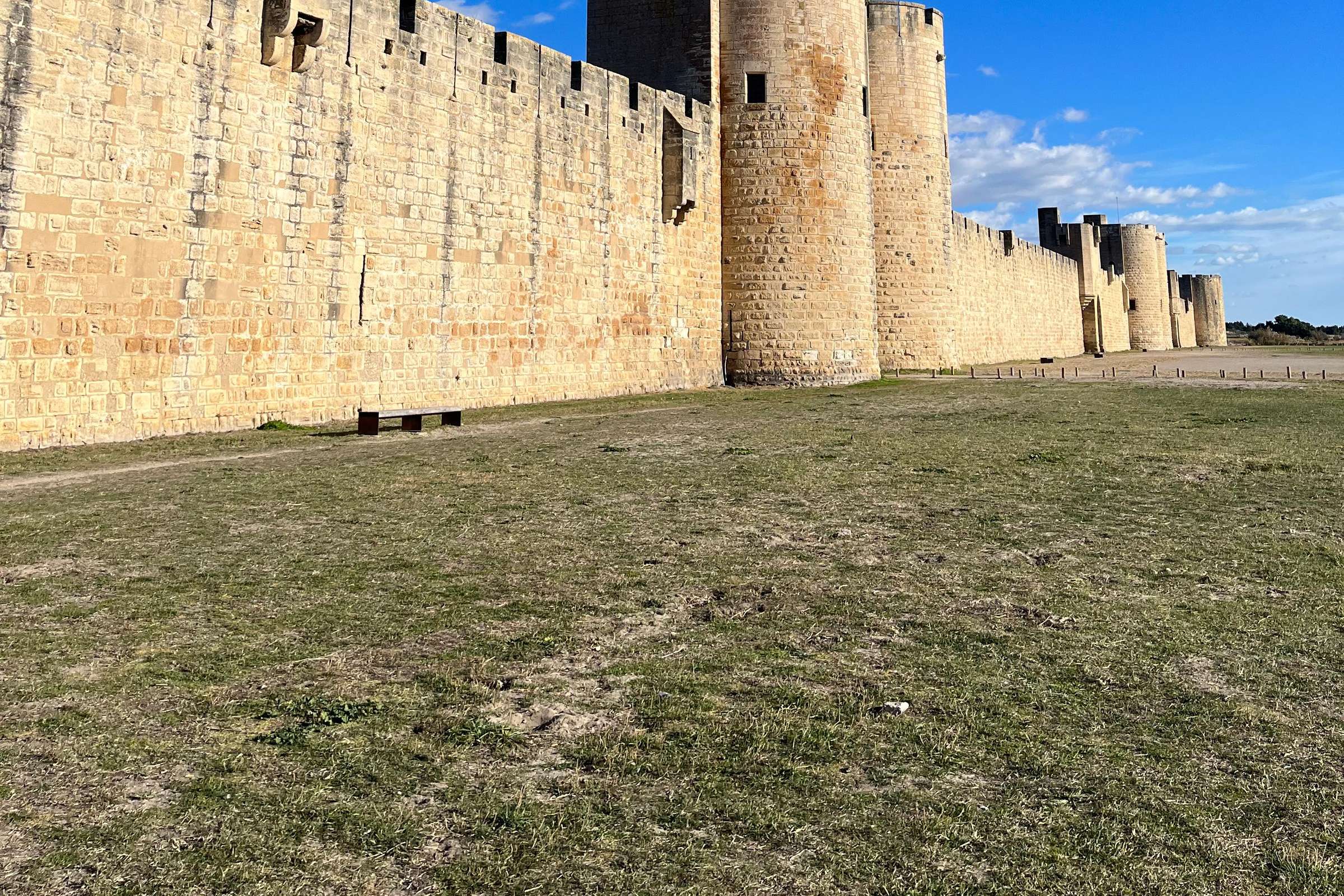 Depuis Montpellier: visite de la Camargue et d'Aigues-Mortes