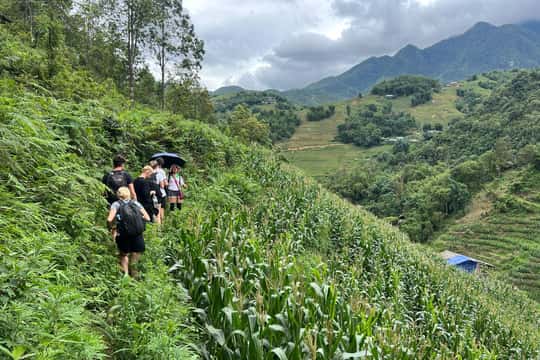 Sapa Hiking Tours