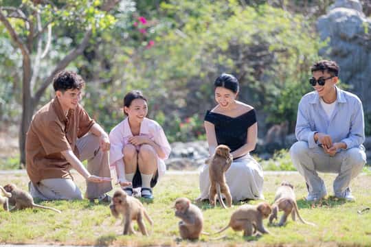 1 Day Trip: Nha Phu Bay Day Tour with Monkey Island & Shows