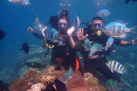 Average tour price for Diving Tours from Nha Trang around 65 USD Average tour price for Diving Tours from Nha Trang around 65 USD