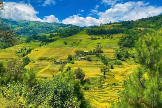 Sapa: Lao Chai and Ta Van Villages Day Tour with Lunch