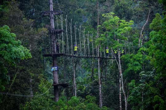 Kong Forest Tours