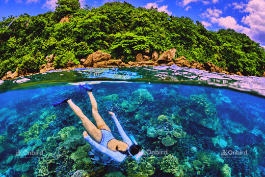 Small-Group Snorkeling Hidden Reefs & BBQ – Max 12