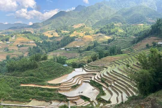 Average tour price for Sapa from Hau Thao Village around 44 USD Average tour price for Sapa from Hau Thao Village around 44 USD