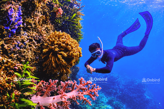 South Phu Quoc Phu Quoc