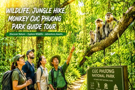 Cuc Phuong Park Jungle Hike Day Tour, Small Group