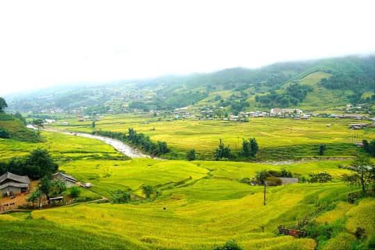 Half Day Visit Y Linh Ho,Lao Chai,Ta Van Trekking With Lunch