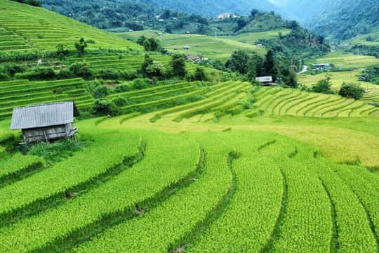 Sapa: One-Day Group Trekking Tour
