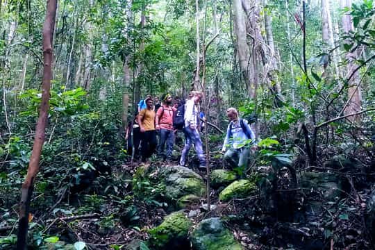 Wildlife and Jungle Adventure – 1 Day in Phong Nha