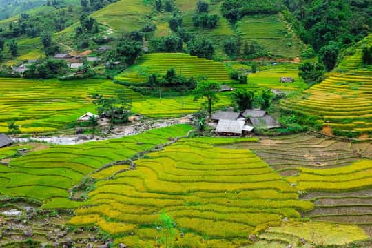 Sapa beautiful rice field, village – Easy walking kid,senior