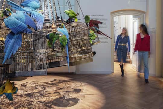 Art Zoo Museum