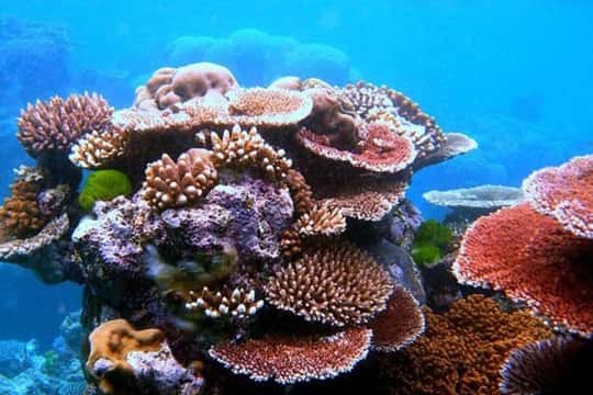 Private tour price range for Cham Island in Vietnam from 121 USD and average 121 USD Private tour price range for Cham Island in Vietnam from 121 USD and average 121 USD