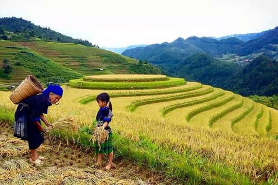 6-Hours Muong Hoa Valley Trek with Local Ethnic guide