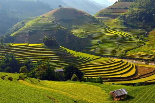 Muong Hoa Valley Trek and Local Ethnic Villages