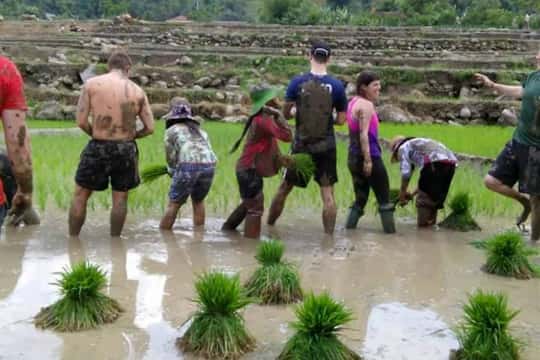 2-Day Trekking Trip with Ethnic Minority Homestay