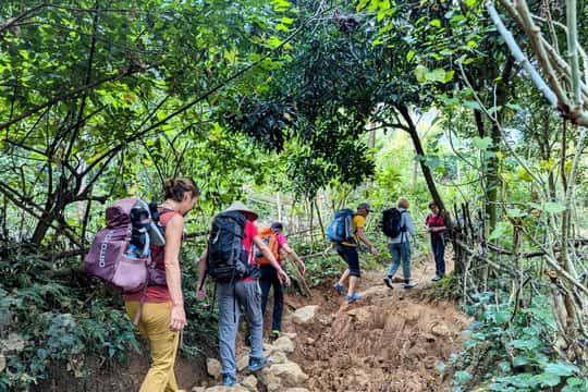 Pu Luong Nature Reserve Trek with Lunch