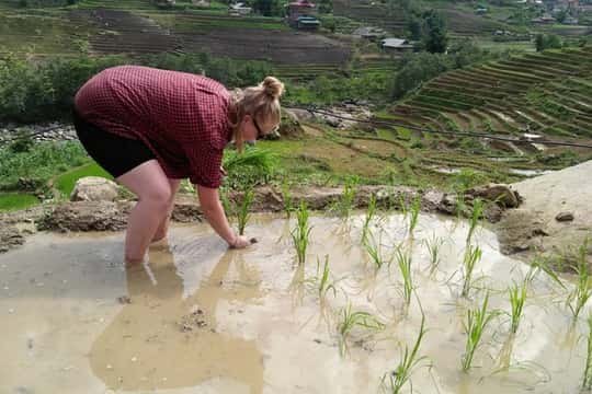 Hanoi- SaPa: 3-Day Homestay Trek to Explore Ethnic cultures