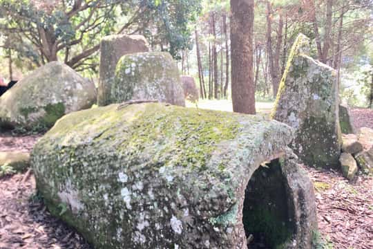 Plain of Jars Day Trip