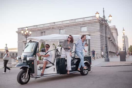 Private City Tour by Eco Tuk Tuk · madrid