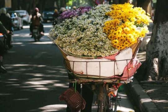 Half-day Private City Tour