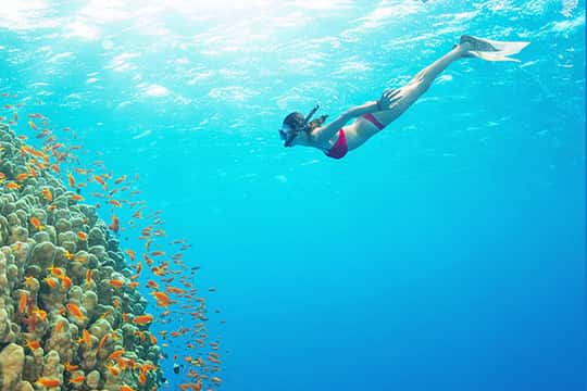 Real Snorkeling & Island Hopping by Speedboat (Max 12)